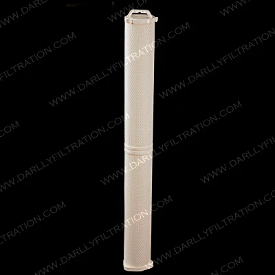  Darlly Manufacture High Performance High Flow Pleated Filter Cartridge for Food and Beverage
