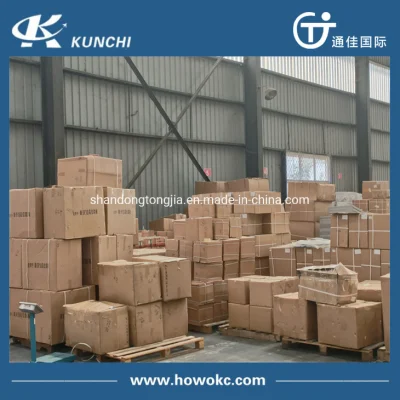 Sinotruk HOWO Truck Engine Parts Vg1560030040 Truck Parts Piston Ring