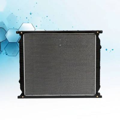Wg9725530276/Wg9725530277 Hyundai Radiator Tiggo Cooling Engine Radiator Ford Tractor Radiators