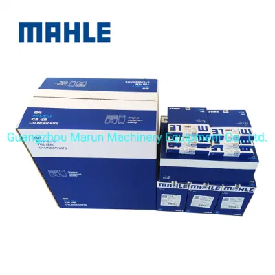 Mahle Manufacturer 65.02501-0507 D1146 Cylinder Liner Kit for Doosan Dh300-3 Repair Overhaul Kit