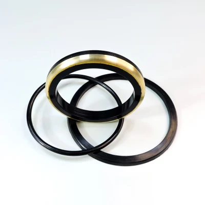 Flow Control Spm/Fmc Plug Valve Repair Seal Kits Supplier