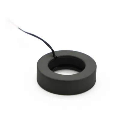 China Customizable Fishing Motor Core Permanent Rotor Magnet Assembly with High Quality