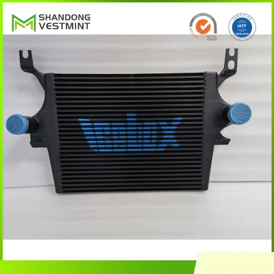 Heavy Duty Qingdao, China Vestmint Truck Parts Intercooler for Hino 700 17940-E0481
