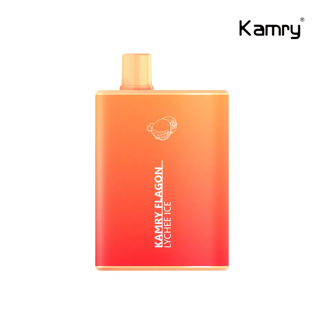 Kamry Flagon Wholesale 6000 Puff Disposable Vape with OEM Brand 2023 Hot Sells in USA 6000puff Disposable Vape