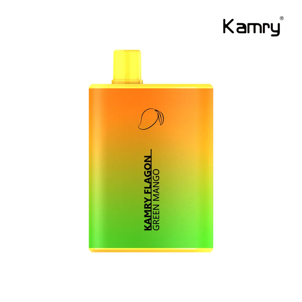 Kamry Flagon 2023 Best Wholesales Vaporizer Vape OEM ODM 14ml 6000 Puff Bar Disposable Vape