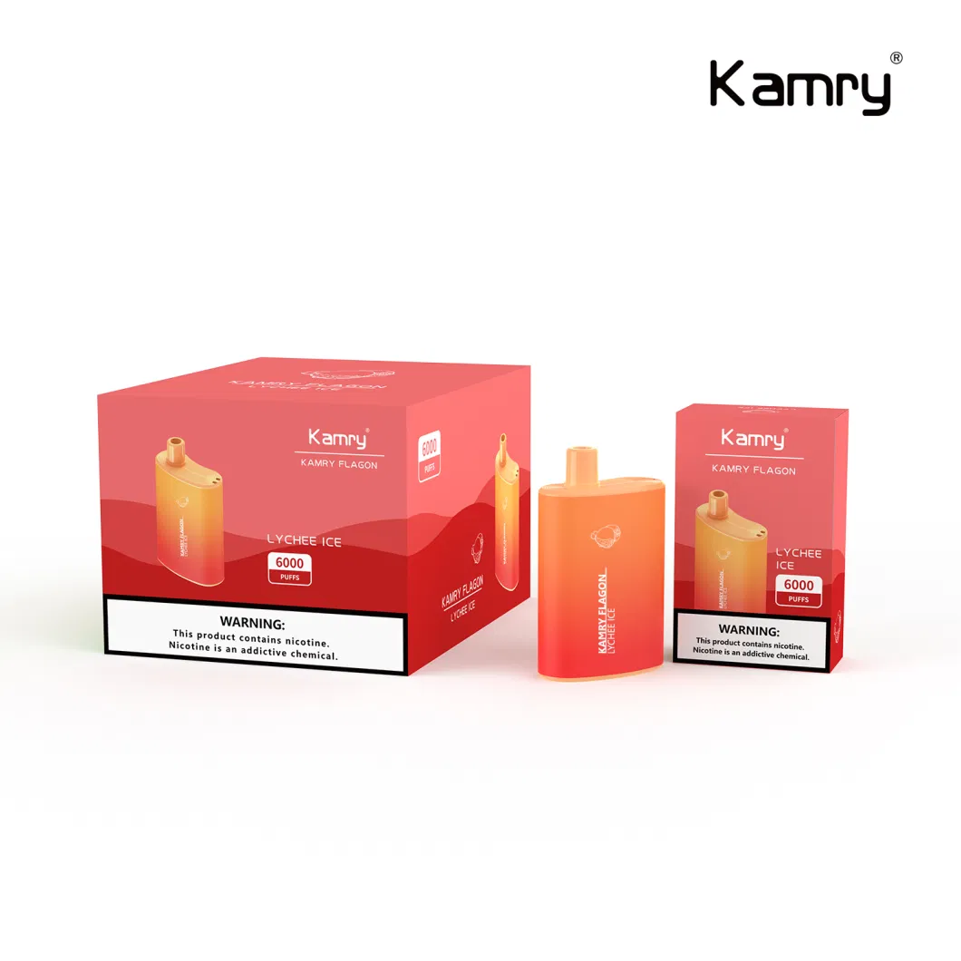 Kamry Flagon 2023 China 6000puff Most Popular Disposable Electronic Cigarette Wholesale Vape Smoking OEM ODM Direct Factory Puff Good Quality