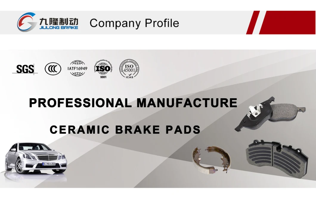 Factory Supplier for High Quality OEM Auto Spare Parts Brake Disc for Benz/BMW/Audi/Toyota/Hyundai/Byd