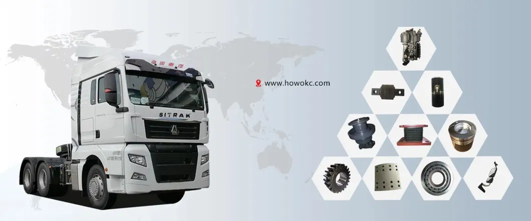 Sinotruk HOWO Parts Heavy Truck Spares Parts Axle Parts Rear Brake Drum Wg9231342006