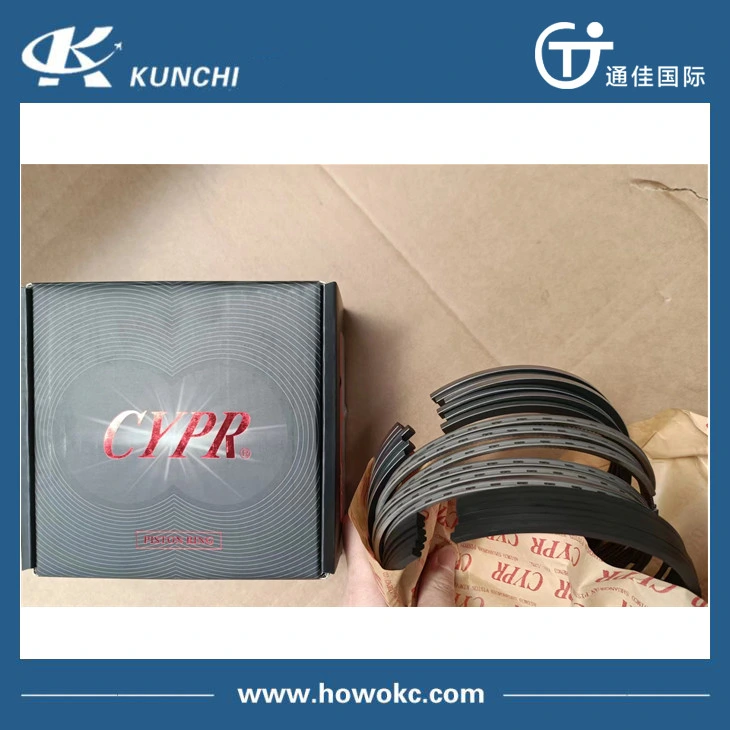 Sinotruk HOWO Truck Engine Parts Vg1560030040 Truck Parts Piston Ring