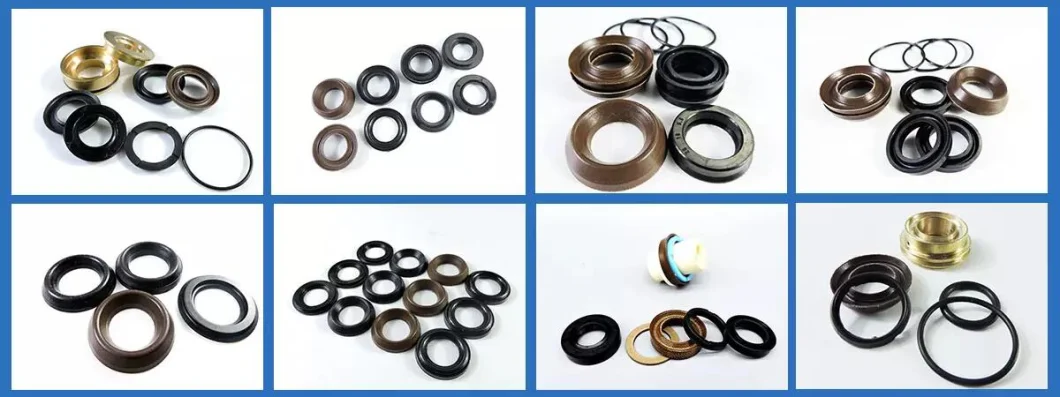 Kit 88 Interpump Split Ring Split Pump Ring for 15mm Pistons Pump Pressure Washer Pump Seal Kit