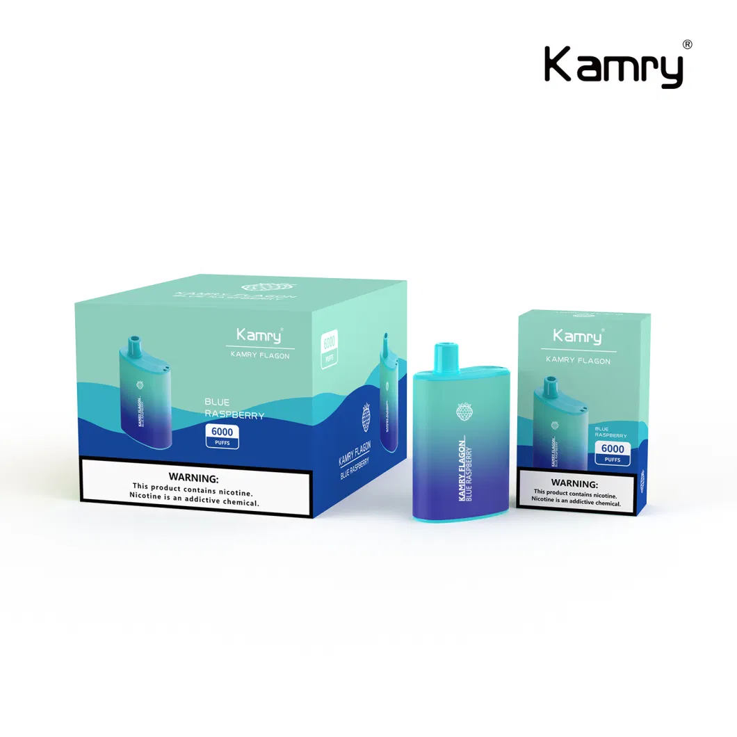 Kamry Flagon Wholesale 6000 Puff Disposable Vape with OEM Brand 2023 Hot Sells in USA 6000puff Disposable Vape