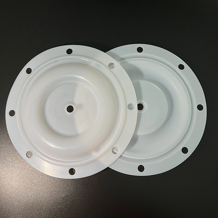 Factory Diaphragms Pumps PTFE Diaphragm Seal Replacement Repair Parts Kit Replacement for Bsk