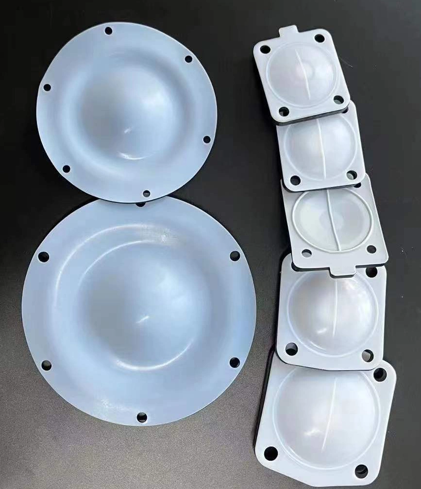 Manufacturer Yamada Aodd Pump Replacement Repair Parts PTFE Diaphragm Kit