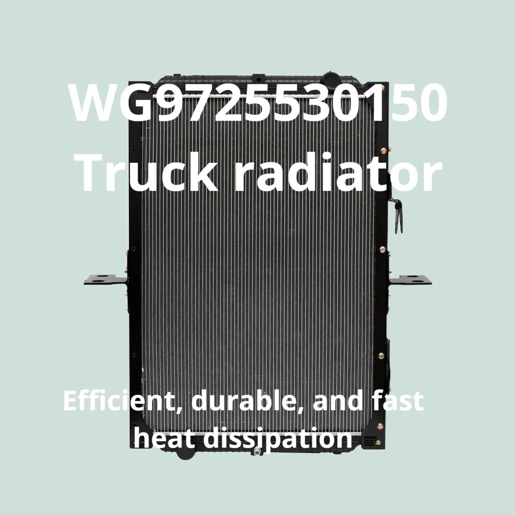 Car Engine Cooling Radiator for Nissan OEM Wg9725530150