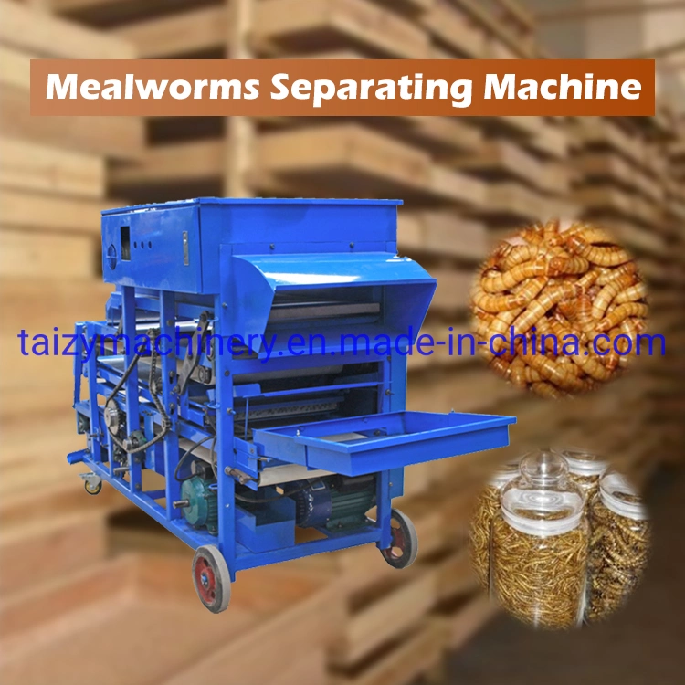 Newly Advanced Tech High Efficiency Yellow Mealworm Separator Screening Machine From Camy