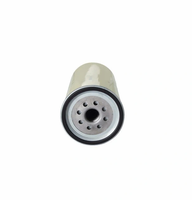 1780730 3905873m91 42554067 21380500 4395038 for Benz Iveco Scania China Factory Fuel Filter for Auto Parts