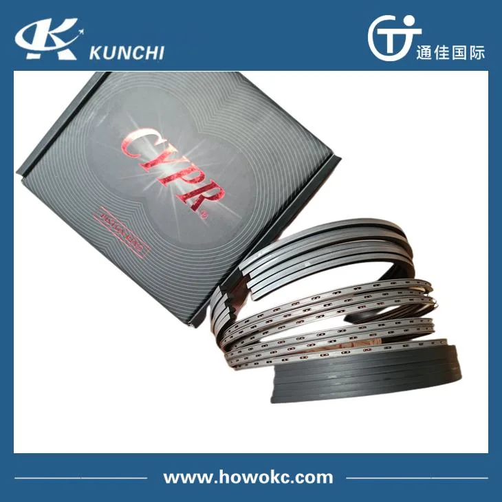 Sinotruk HOWO Truck Engine Parts Vg1560030040 Truck Parts Piston Ring