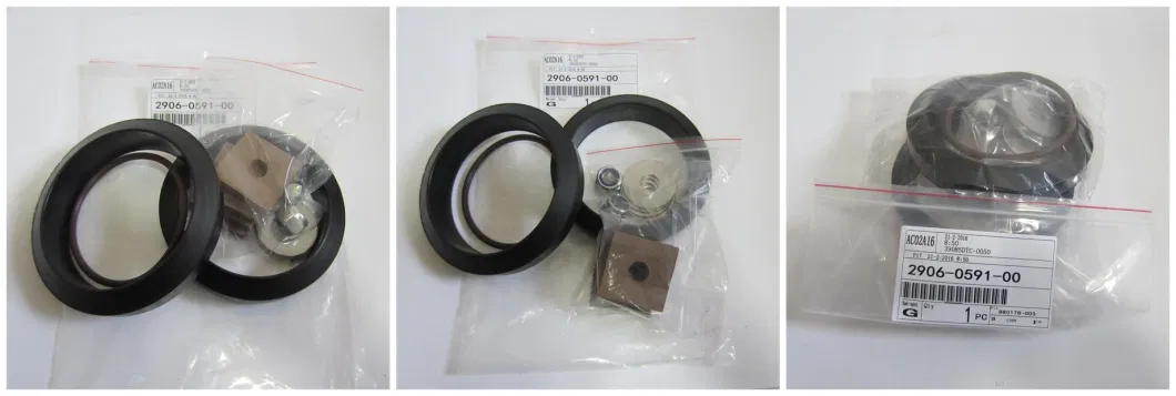 China Manufacturer 9210341p Replace Intake Valve Repair Kit (2906056300) (1614928500)