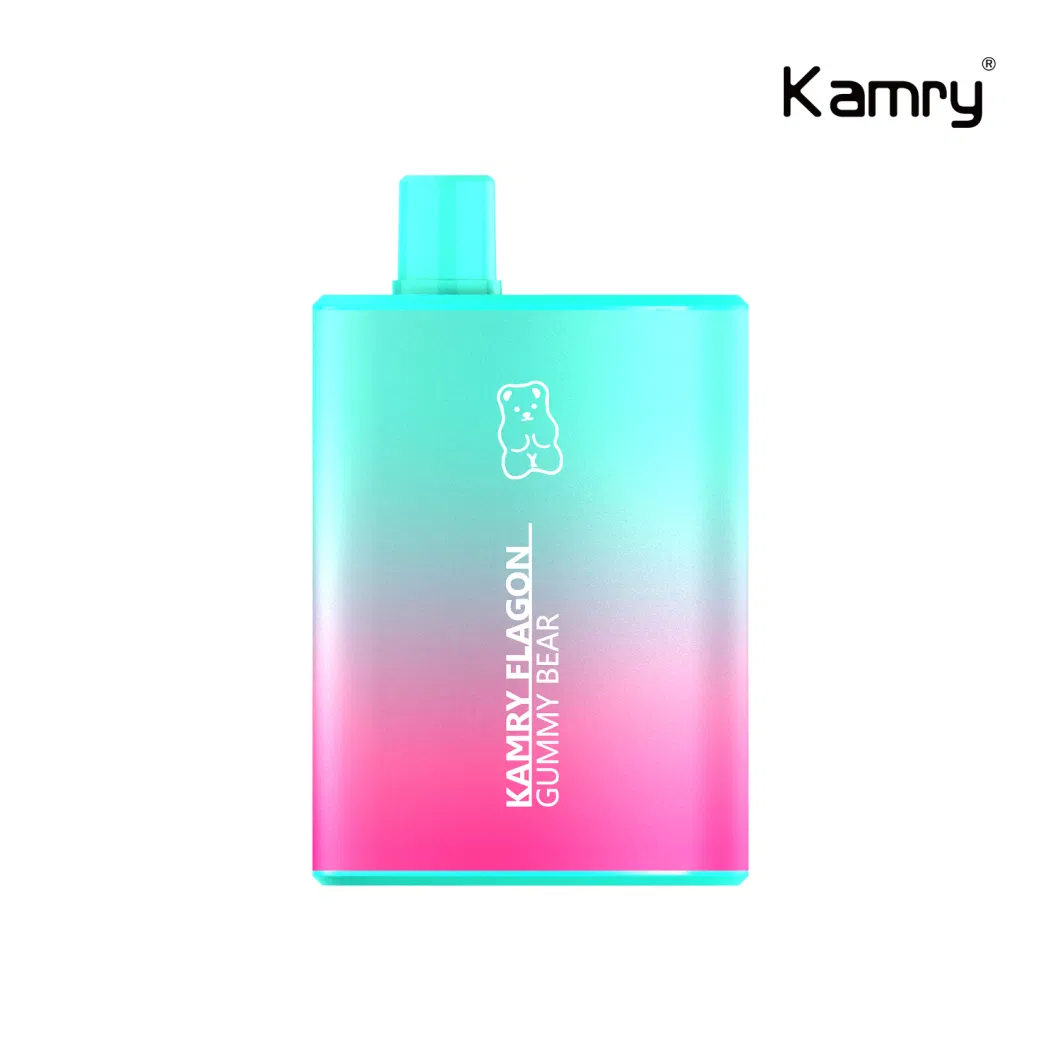 Kamry Flagon Wholesale 6000 Puff Disposable Vape with OEM Brand 2023 Hot Sells in USA 6000puff Disposable Vape