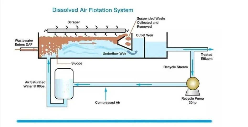 Dissolved Air Flotation Machine Meat Food Factory Sewage Treatment Equipment/ Daf Large