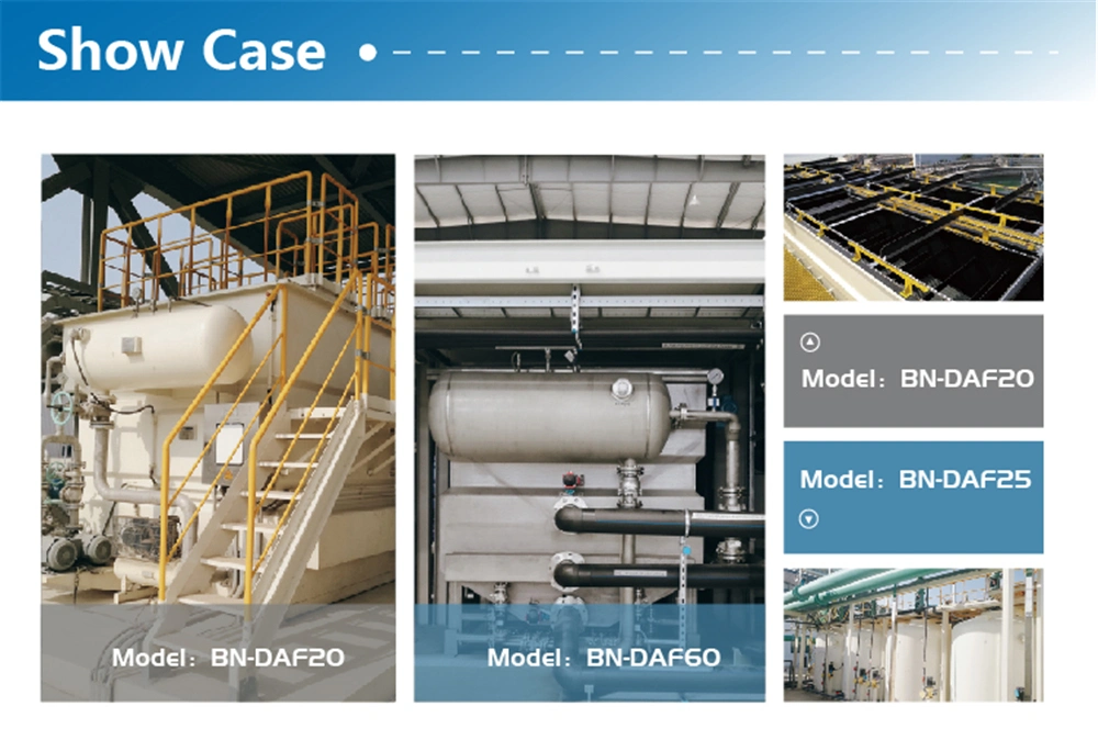 Factory Direct Supply Daf Dissolved Air Flotation for Palm Oil Sewage Removal