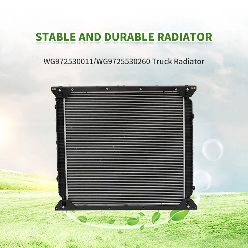 Factory Low Price Sale Auto Aluminum Core Radiator Ford Wg9725530260 Engine Car Radiator