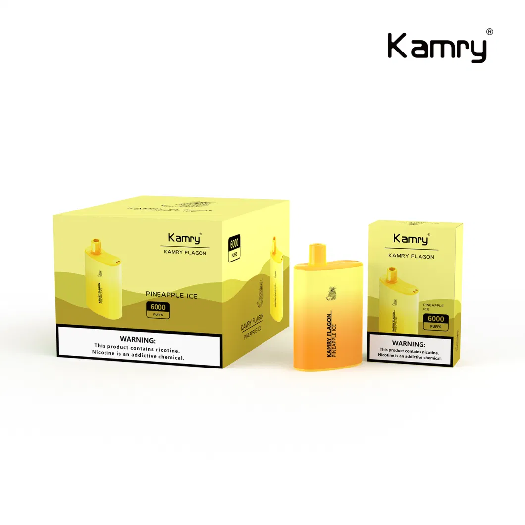 Kamry Flagon Wholesale 6000 Puff Disposable Vape with OEM Brand 2023 Hot Sells in USA 6000puff Disposable Vape