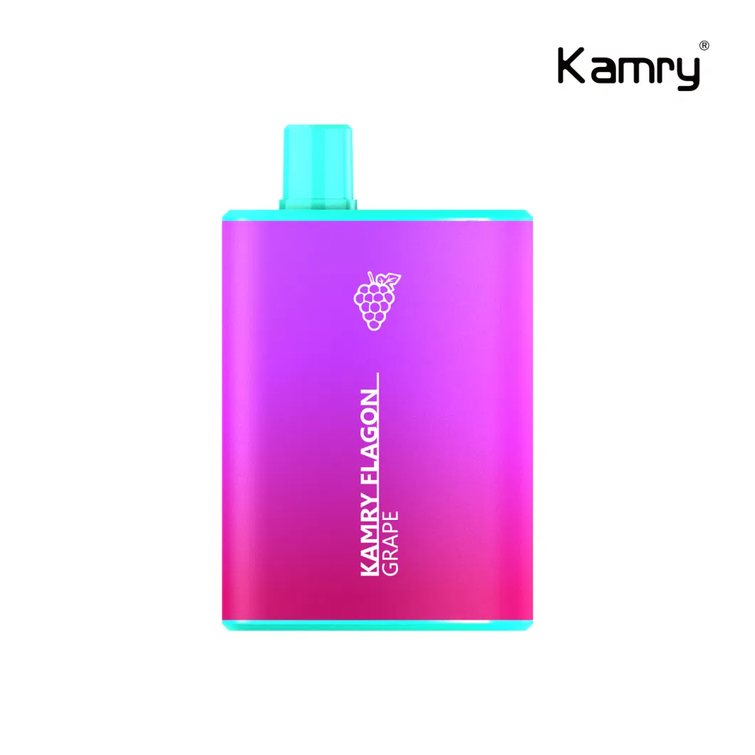 Kamry Flagon 2023 Best Wholesales Vaporizer Vape OEM ODM 14ml 6000 Puff Bar Disposable Vape