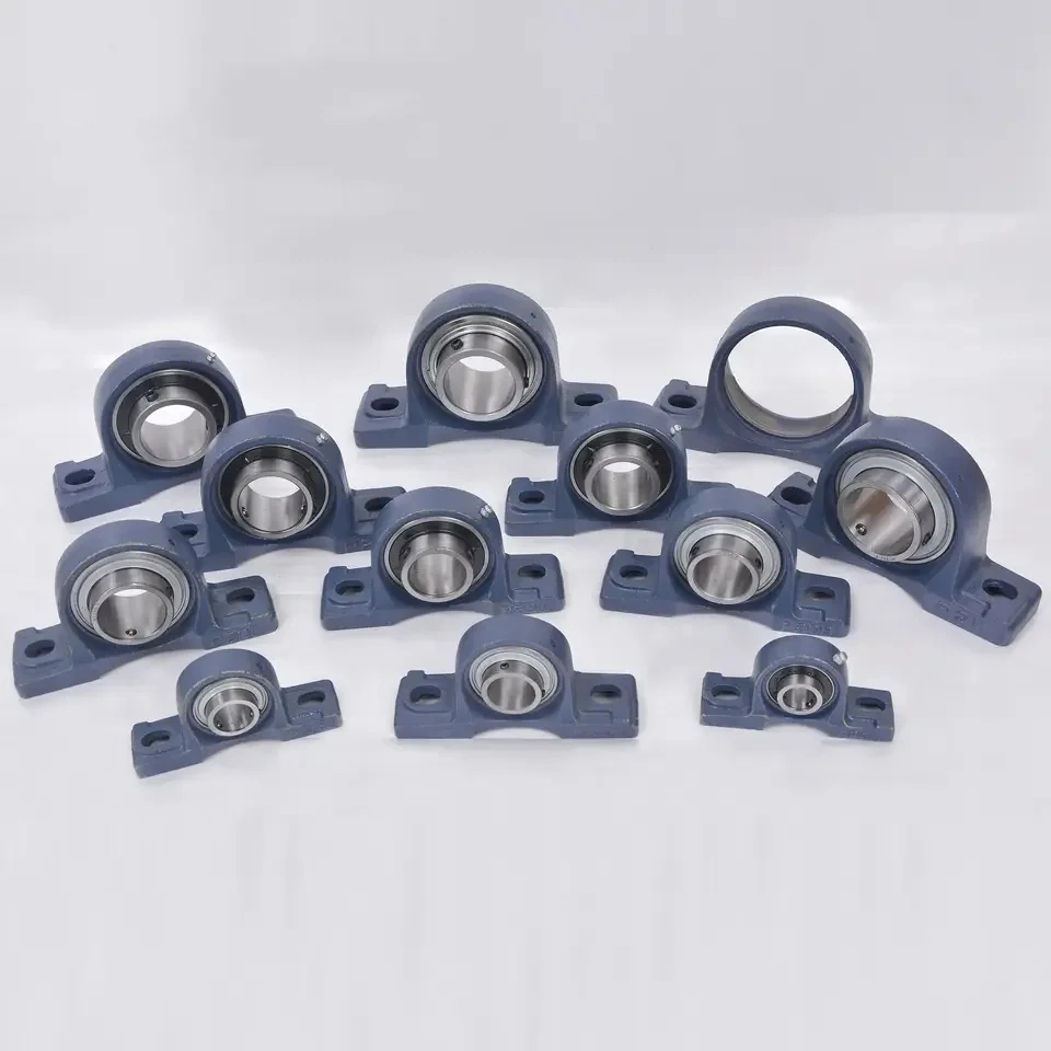 Factory Supply Sn310 Sn311 Sn312 Cast Iron Housing Sn306 Sn307 Split Plummer Block Bearing Housing