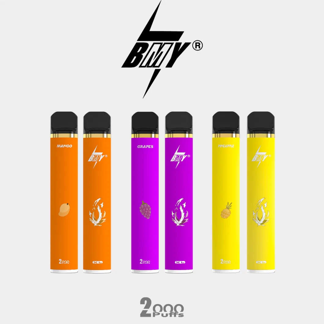 Bmy OEM Wholesale XL Elf Mini Cigarette Bar Non- Rechargeable 1000mAh 2000 Puff Disposable Vape Pod