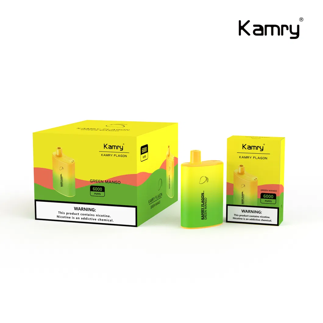 Kamry Flagon Factory OEM&ODM Vapes Pen Mesh Coil 6000puff Multi Flavor Disposable Vaporizer Electronic Cigarette