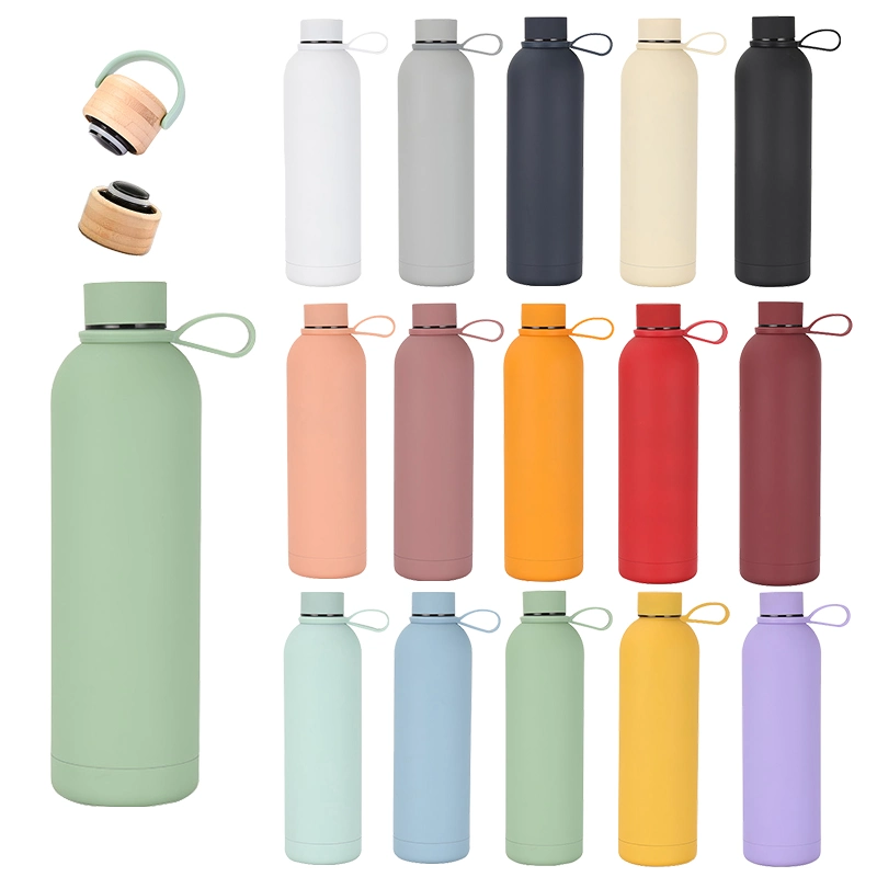Stainless Steel Double Walll Vacuum Insulated Thermal Water Bottle with Lid and Handle