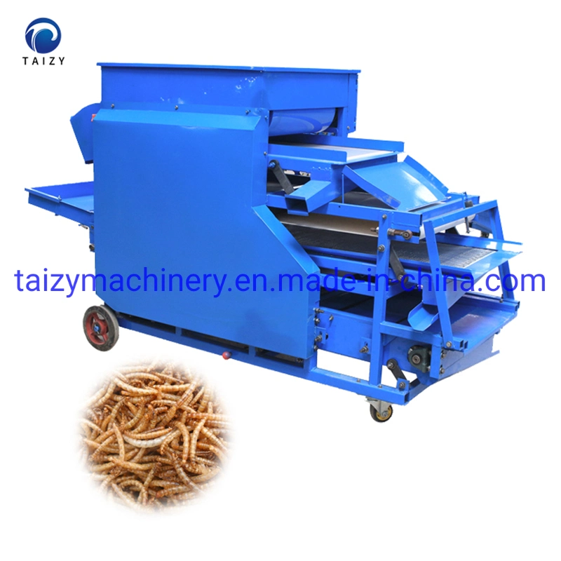 Newly Advanced Tech High Efficiency Yellow Mealworm Separator Screening Machine From Camy