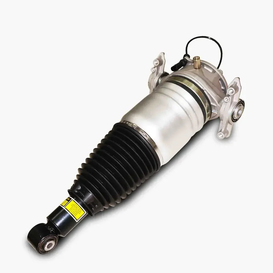 Factory Price Rear Left Shock Absorber for Audi Q7 Cayenne VW Touareg OEM 7p6616019K 7p6616019j 7p6616019g 7p6616019h