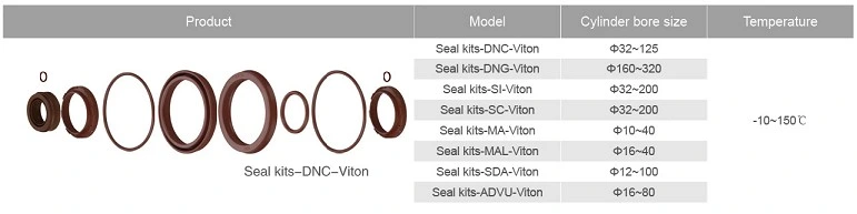 China Professional Pneumatic Manufacturer Viton Repair Seal Kits