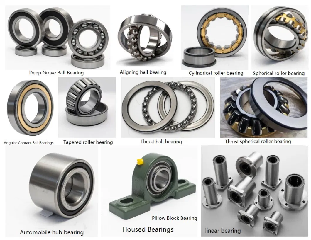 Zkzf Factory OEM Service Stainless Steel Pillow Block Bearings and Bearing Housing