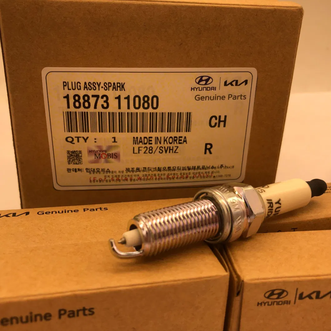 Original Equipment Manufacturer Spark Plug Set Modern Ioniq Mixed with Apri 1886808095 Car Spark Plug