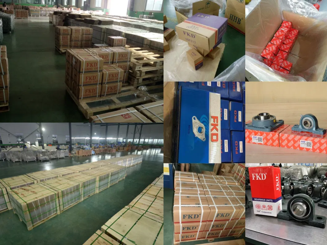 Distributor/Manufacturer for High Quality Fkd/Hhb Pillow Block Bearing/High-Quality Bearing Supplier