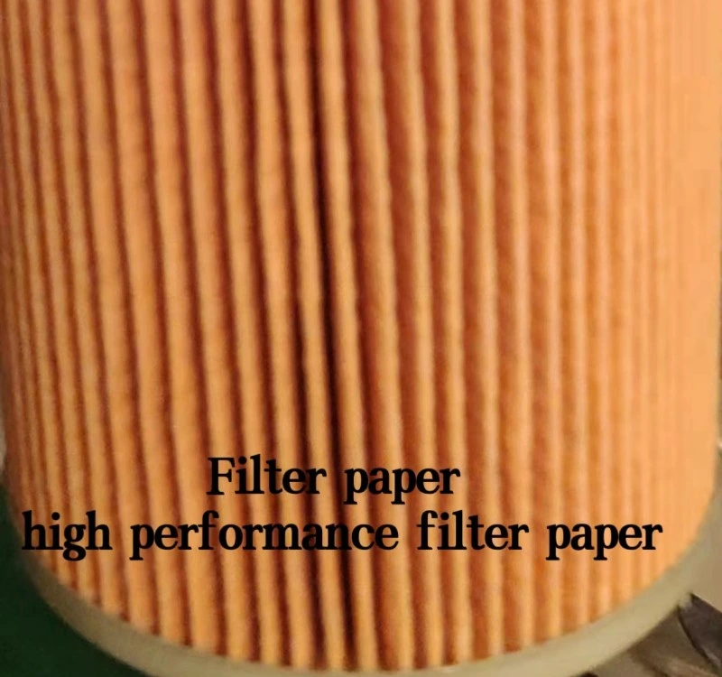 Factory Wholesale High Quality OEM/ODM Air Filter 2144993