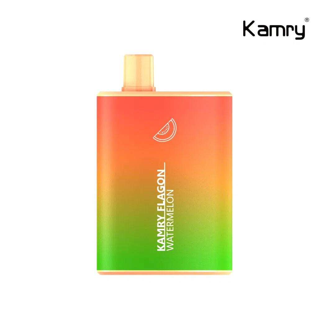 Kamry Flagon 2023 Best Wholesales Vaporizer Vape OEM ODM 14ml 6000 Puff Bar Disposable Vape