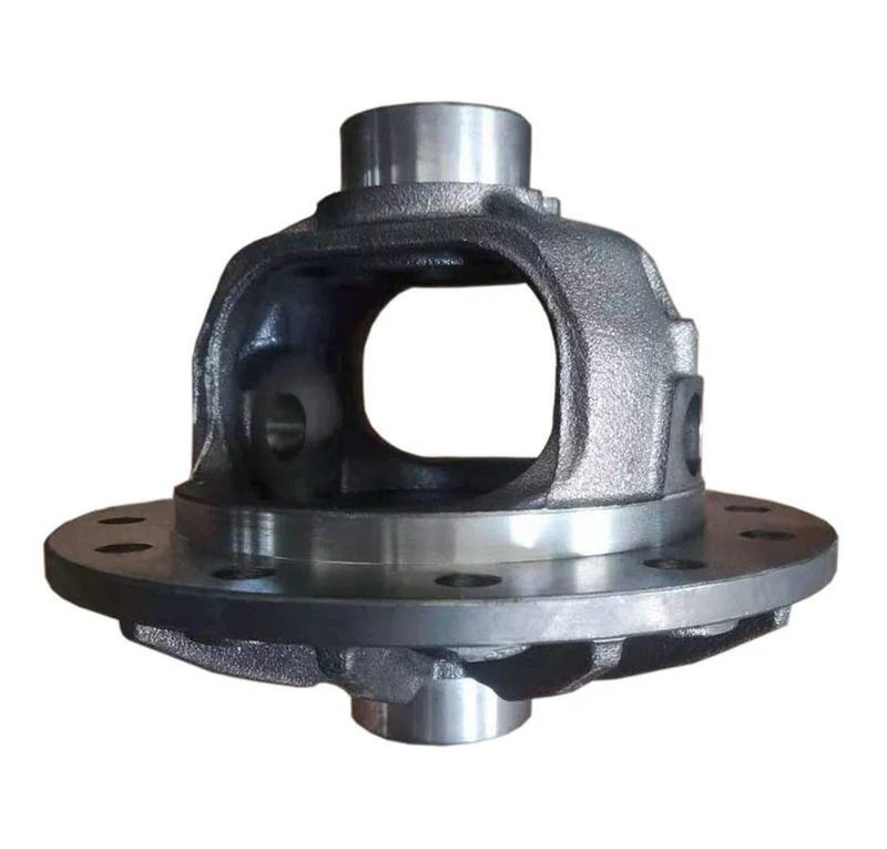 High Quality Ductile Cast Iron OEM Steel Die Casting Auto Differential Housing