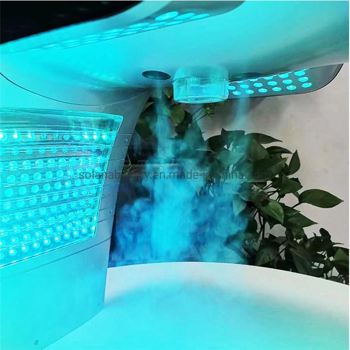 PDT LED Photon Infrared Light Facial Face Mask LED Facial Steamer Factory Price