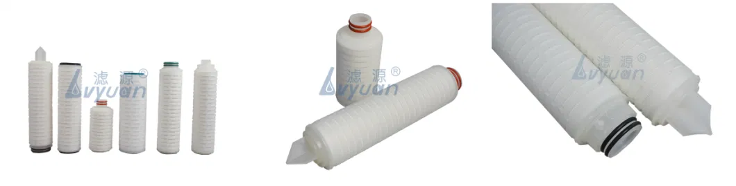 China 10 Inch 226/Fin PTFE Membrane Pleated Water Filter Cartridge