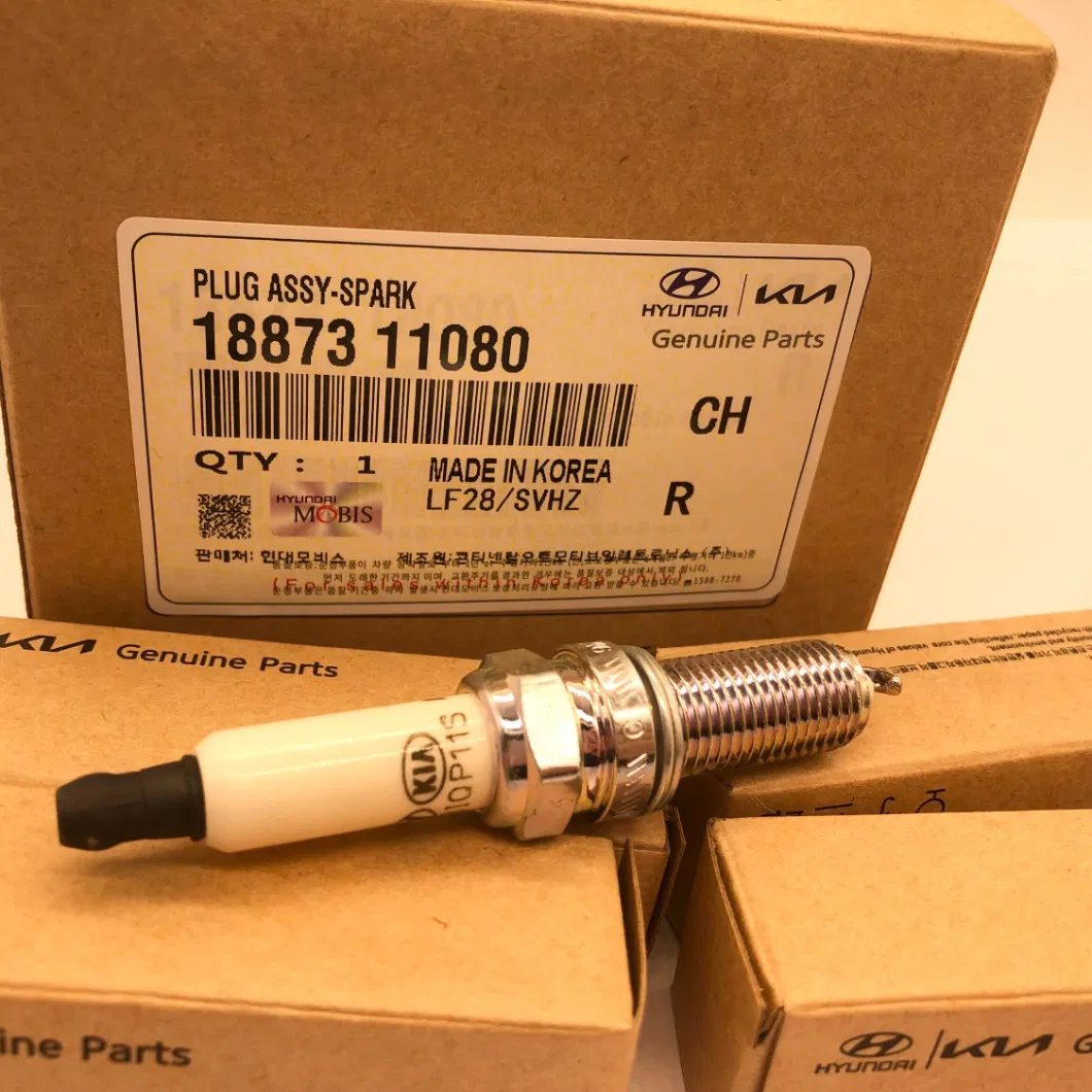 Original Equipment Manufacturer Spark Plug Set Modern Ioniq Mixed with Apri 1886808095 Car Spark Plug