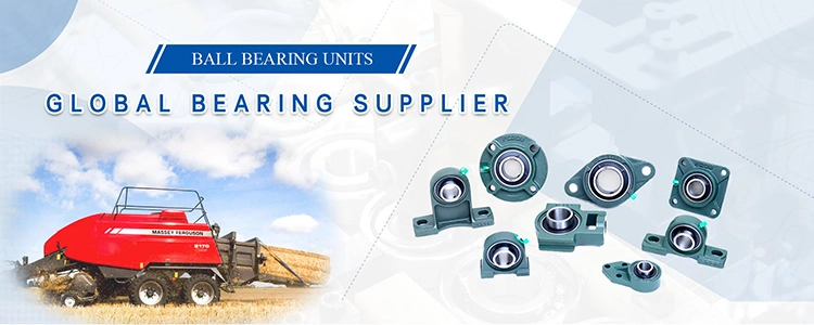 Robust OEM Plastic Housing Bearing Plucp203 Bearing Plastic Housing for Transportation Systems