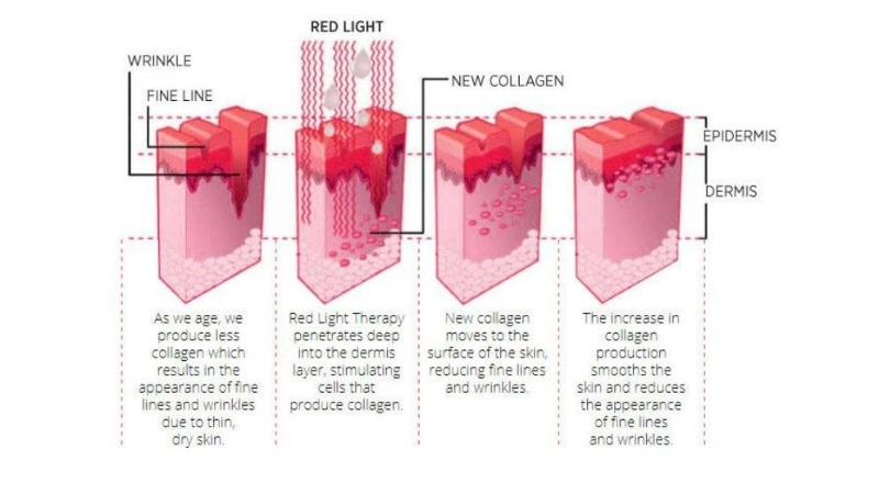 Factory Price LED Light PDT 7 Color Lights LED Photon Therapy Facial with Diode Power 100MW