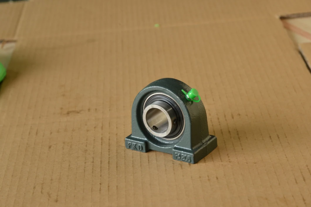 Professioanl Bearing Unit/Pillow Block/Bearing Housing manufacturer (UCPA205)