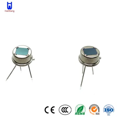Sensore digitale P916h P916h sensore digitale acqua Cina Haiwang Produttori controllo accesso Area limitato rilevamento del movimento wireless pressione vettura Sensore