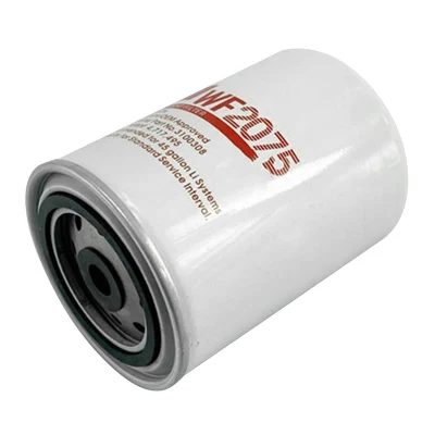 600-411-1151 4734562 45674 1901776 P552072 Wa9140 per Astra Iveco Cina Filtro carburante di fabbrica per ricambi auto