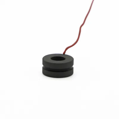  Cina Magnet rotore permanente personalizzabile pesca Motor Core magnetico Assiemi di materiali